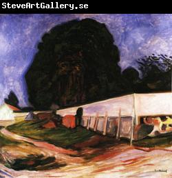 Edvard Munch Summer Night at Aasgaardstrand